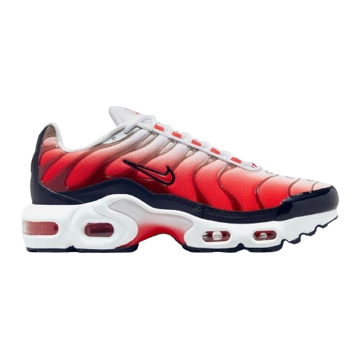 Requin Rouge Blanc Noir