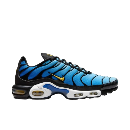 Requin Hyper blue